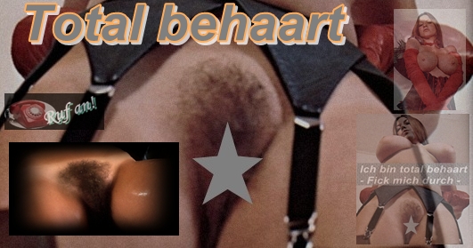 behaart - Dicker Baer